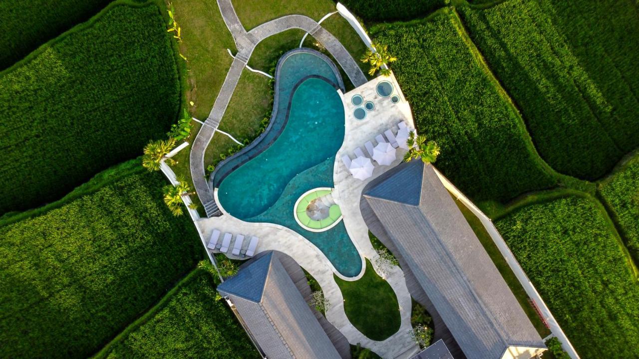 Villa Paradise By Balisuperhost Ubud  Exterior photo